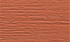 Burnt_Orange